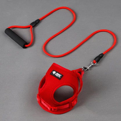 Dog Leash and Collar Combo for Pets
