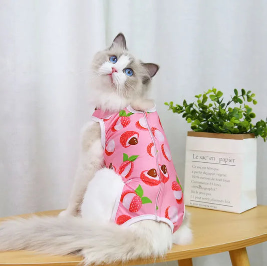 Spay & Neuter Recovery Wear