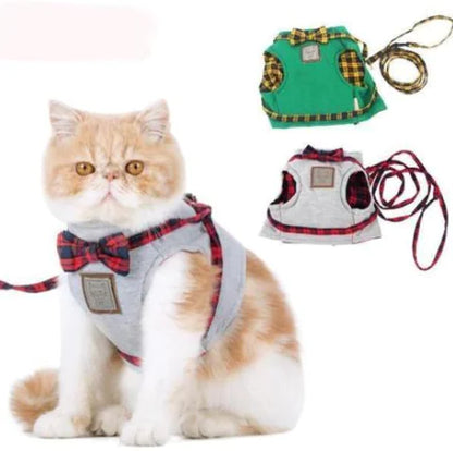 Harness and Leash Set