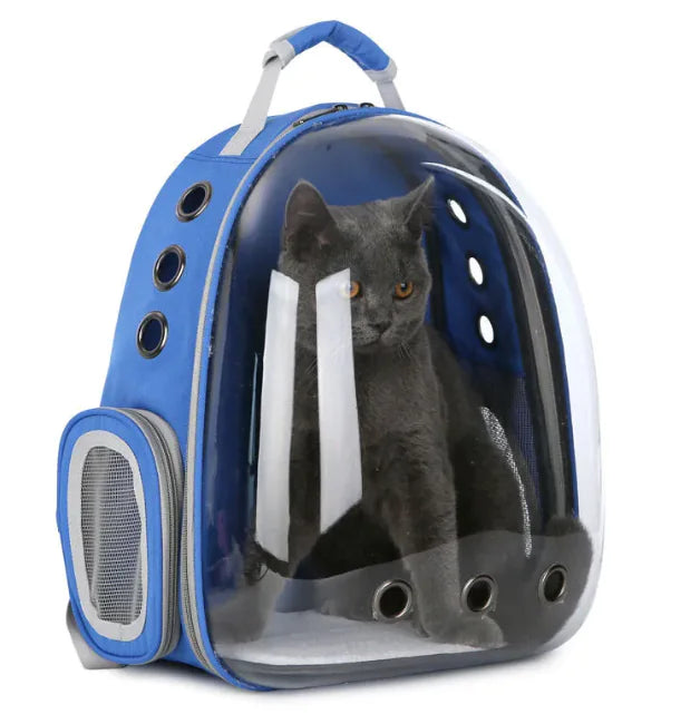 Blue pet carrier with blue interior with a grey cat inside, shown on a white background