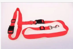 Running & Jogging Hands-Free Dog Lead Red 2.5*110 Centimeter