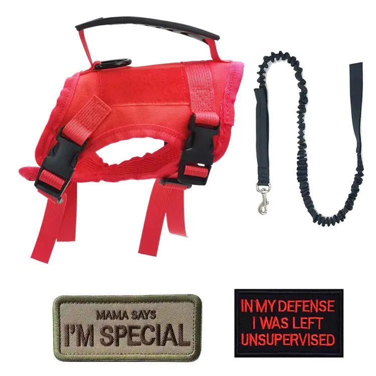 Red dog harness with black leash, 'Mama Says I'm Special' patch, and 'In My Defense I Was Left Unsupervised' patch on a white background.