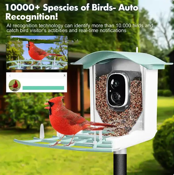 Solar-Powered Waterproof Bird Feeder with Camera & App