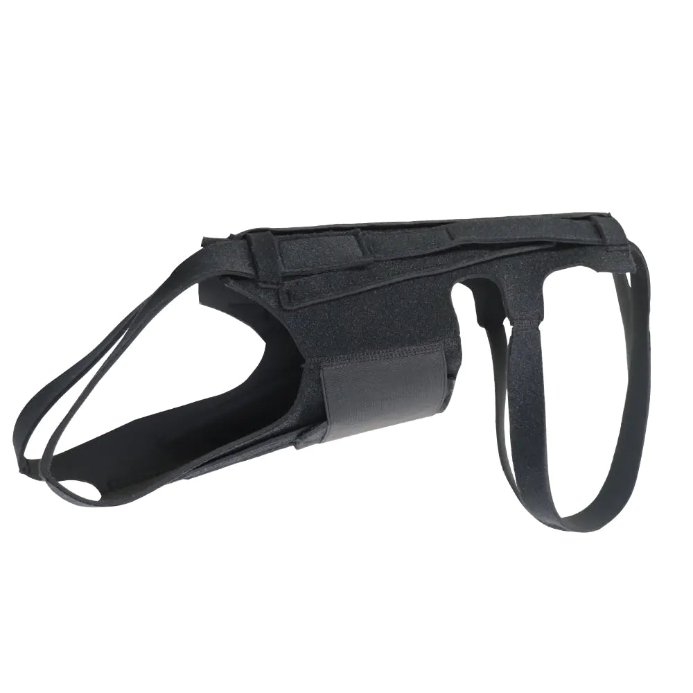 Dog Back Brace