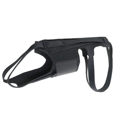 Dog Back Brace