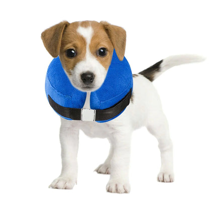 Inflatable Neck Collar
